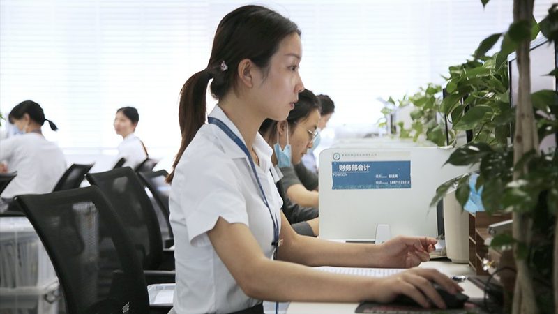 税务筹划与税务规划：本质区别与详细步骤解析