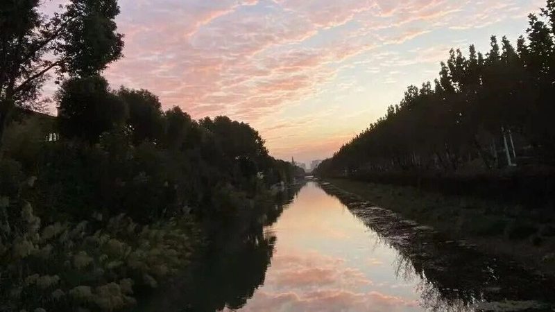 商标转让注册号查询系统：揭秘查询流程与注意事项